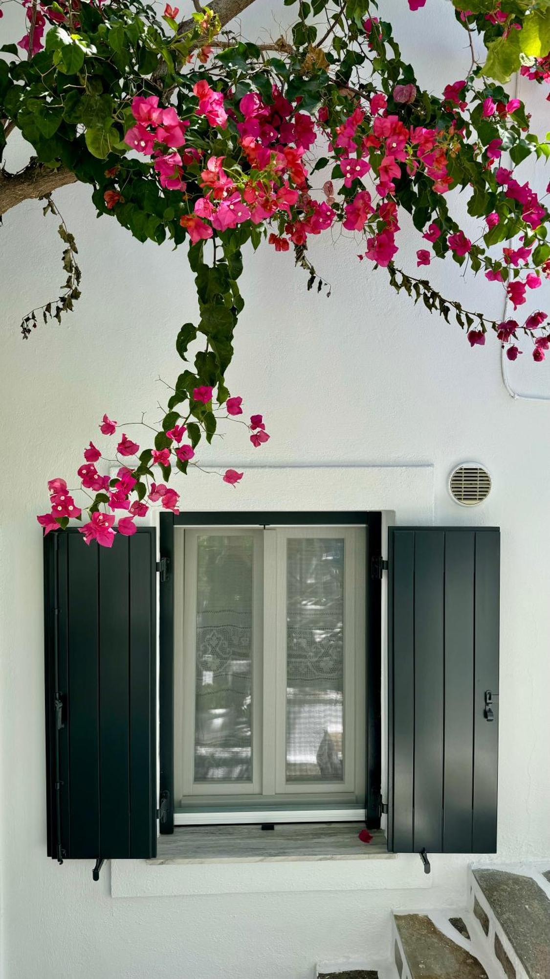 Angeliki'S Studios Paros Exterior foto
