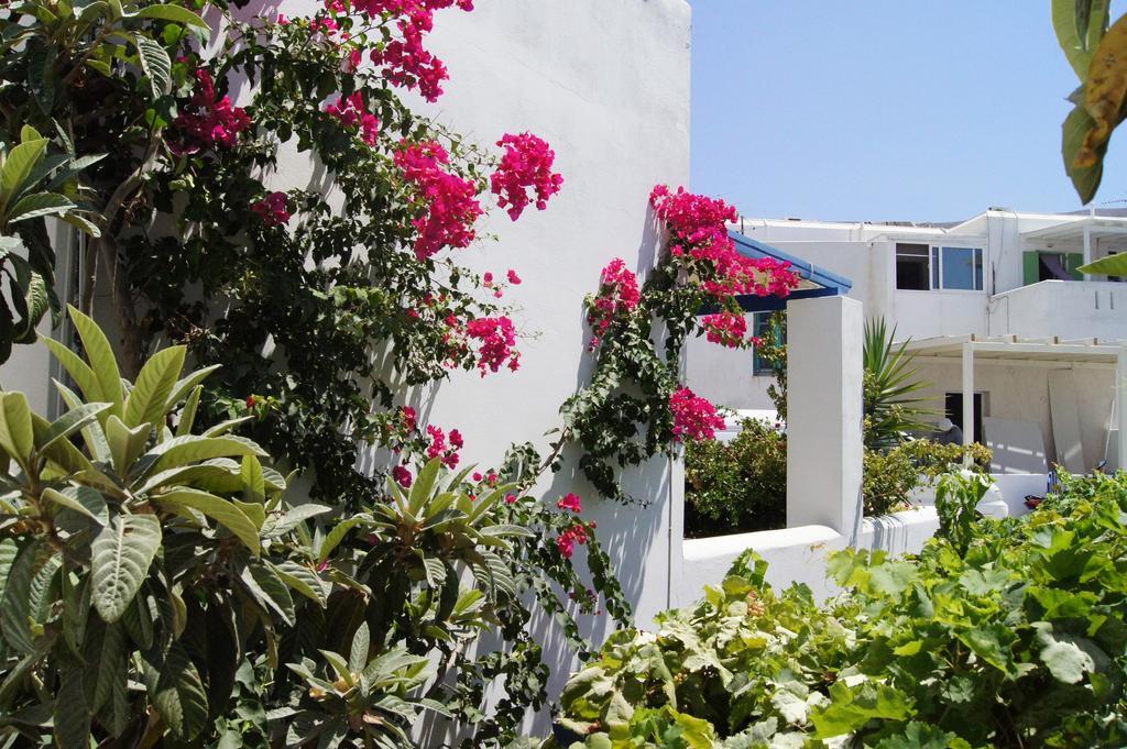 Angeliki'S Studios Paros Exterior foto
