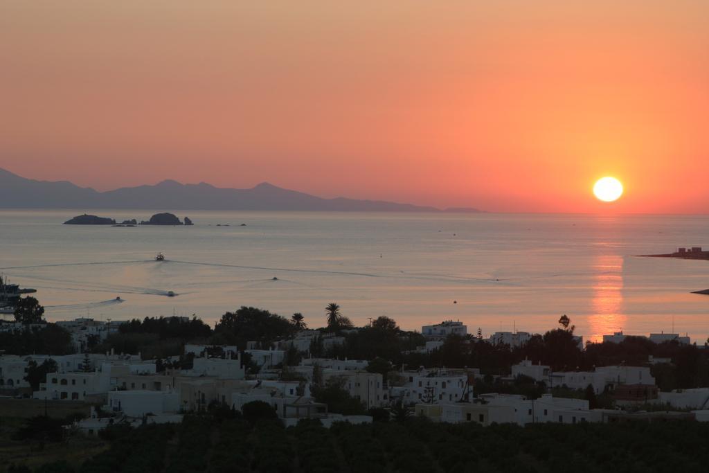 Angeliki'S Studios Paros Exterior foto