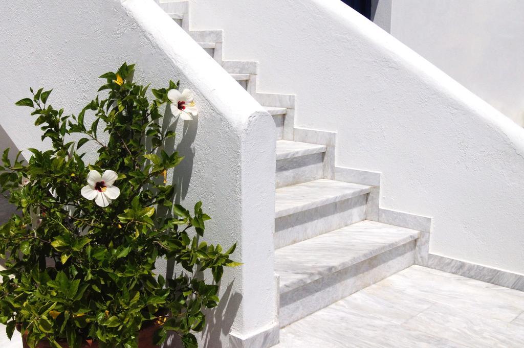 Angeliki'S Studios Paros Exterior foto